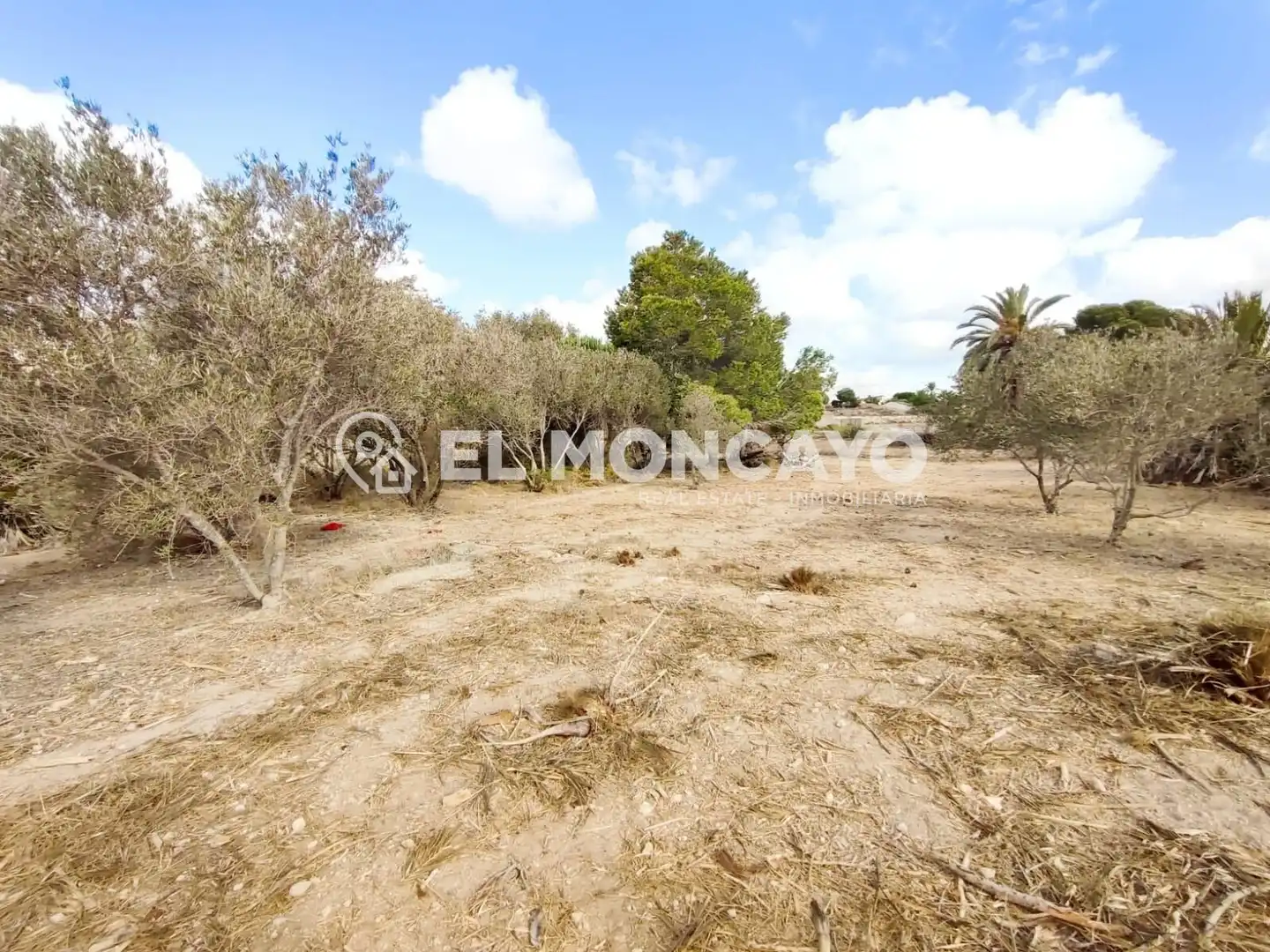 Terreno en venta en Elche / Elx