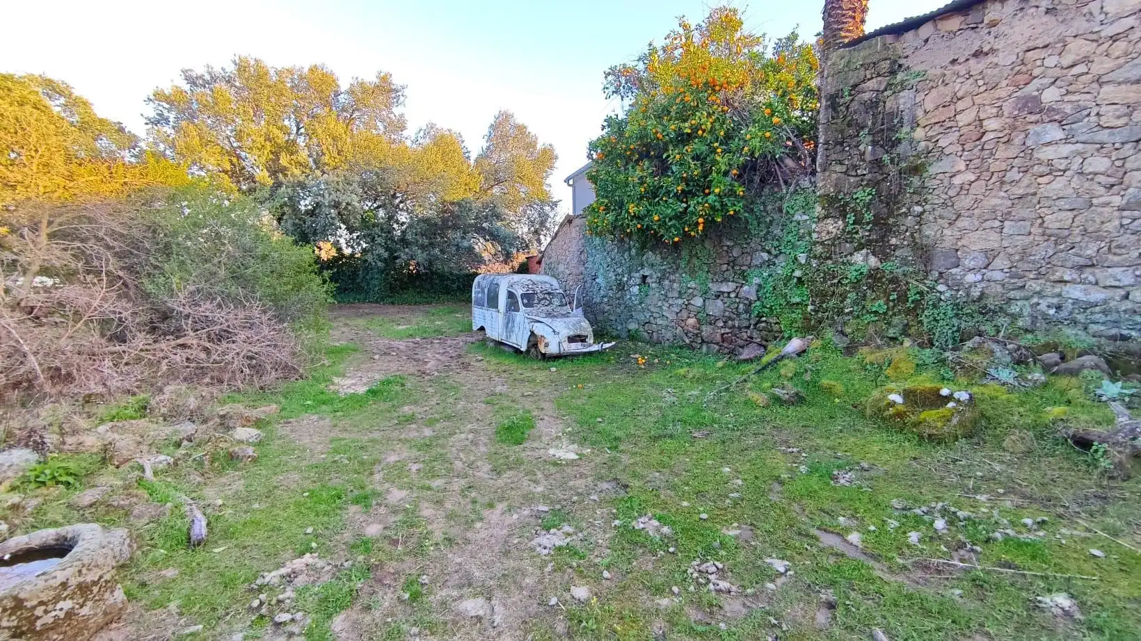 Casa adosada en venta en Aceituna