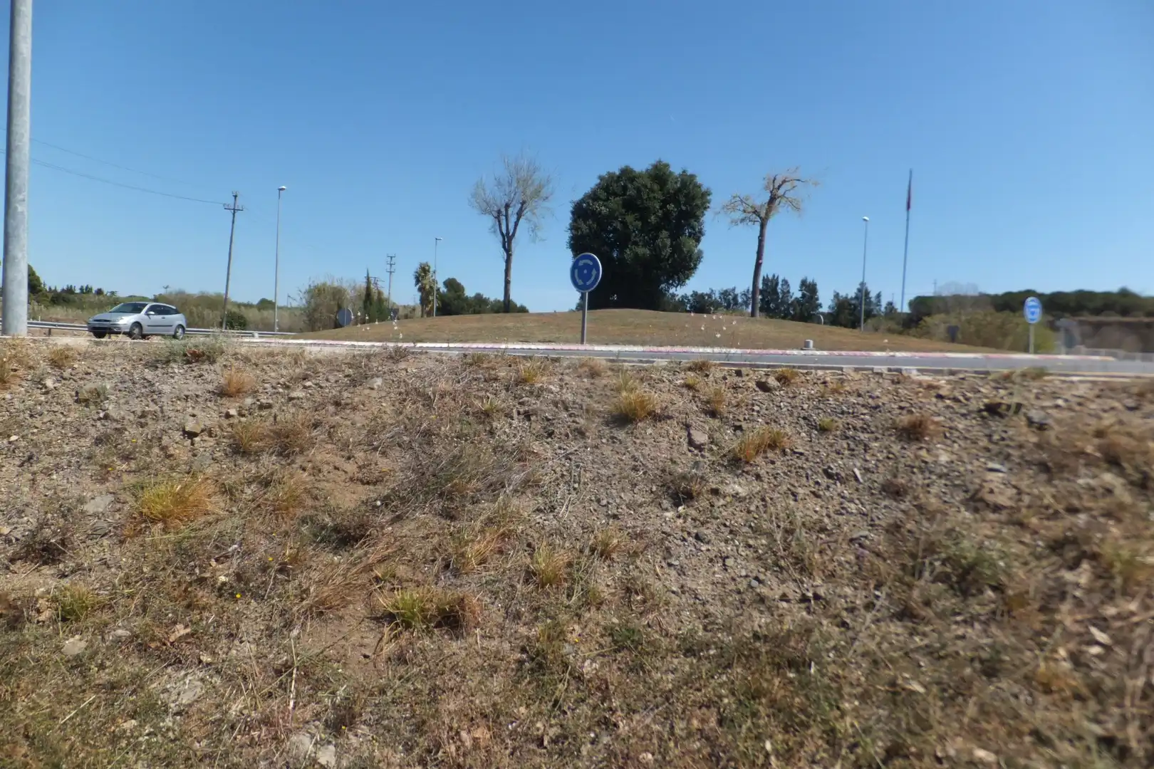 Terreno industrial en venta en Riudoms