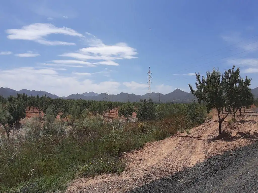 Residencial en venda en Fuente Álamo de Murcia