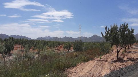 Foto 3 de Residencial en venda a Los Barrancos y Paganes, La Pinilla - Las Palas, Fuente Álamo de Murcia