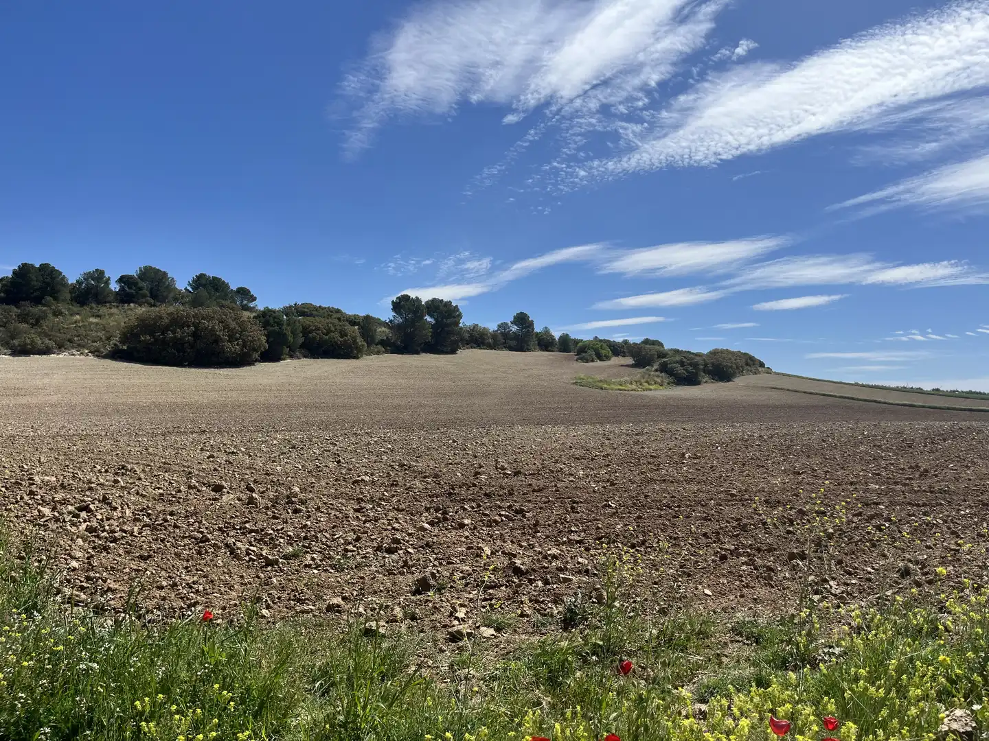 Rustikales Grundstück zum Verkauf in Avenida de Andalucía, imagen 12