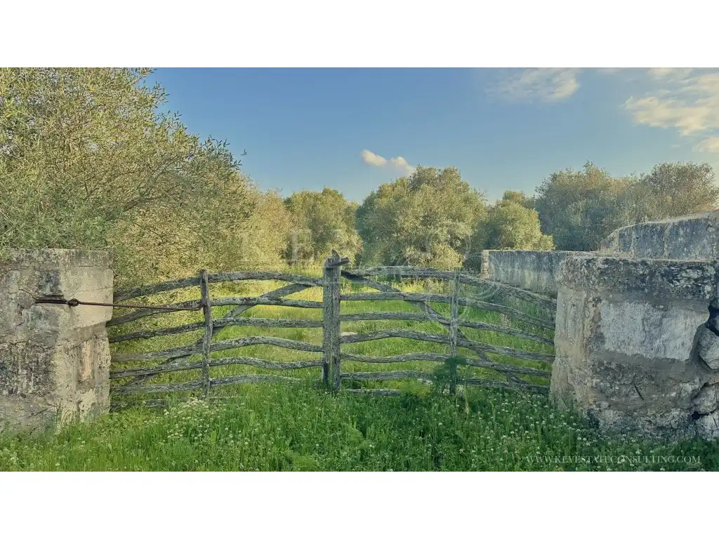 Casa o chalet en venta en Diseminados Torre Oficial, Cala Blanca