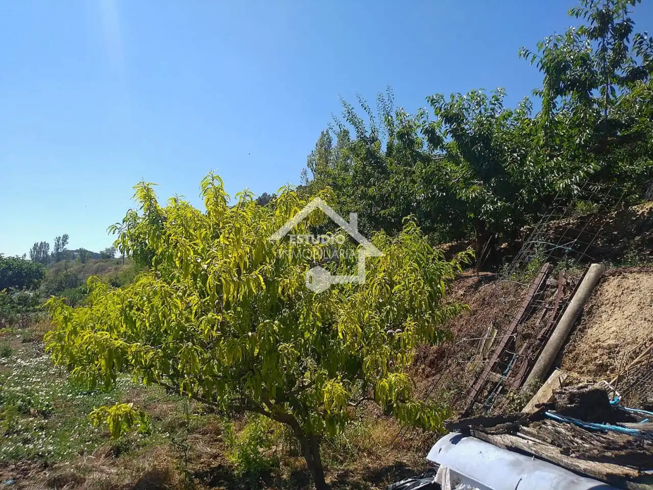 Rural land for sale in Calle Arbanta, imagen 12