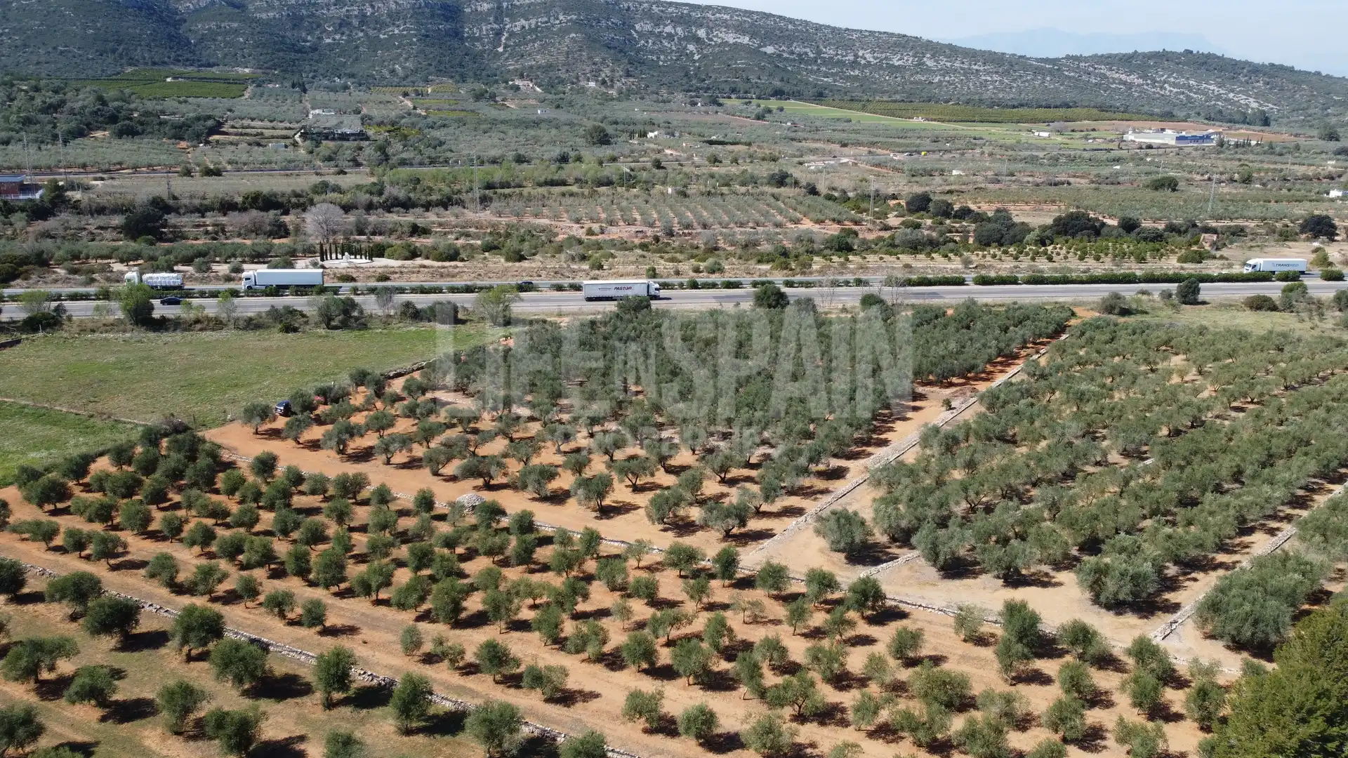 Terreno rustico in vendita a Freginals, imagen 6