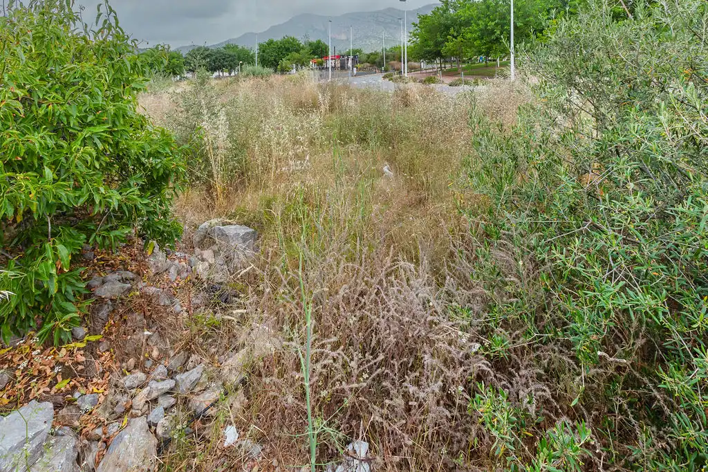 Terreny residencial en venda a Avenida Jaime I 30, imagen 13