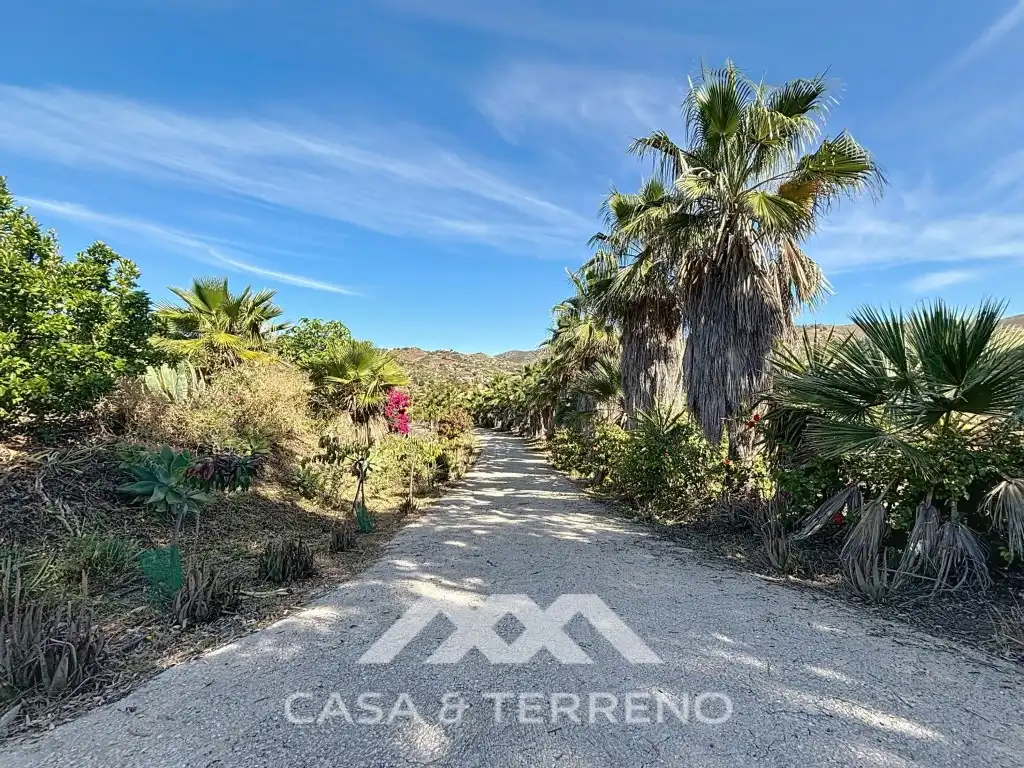 Vista exterior de Casa o xalet en venda en Vélez-Málaga amb Aire condicionat, Jardí privat i Terrassa
