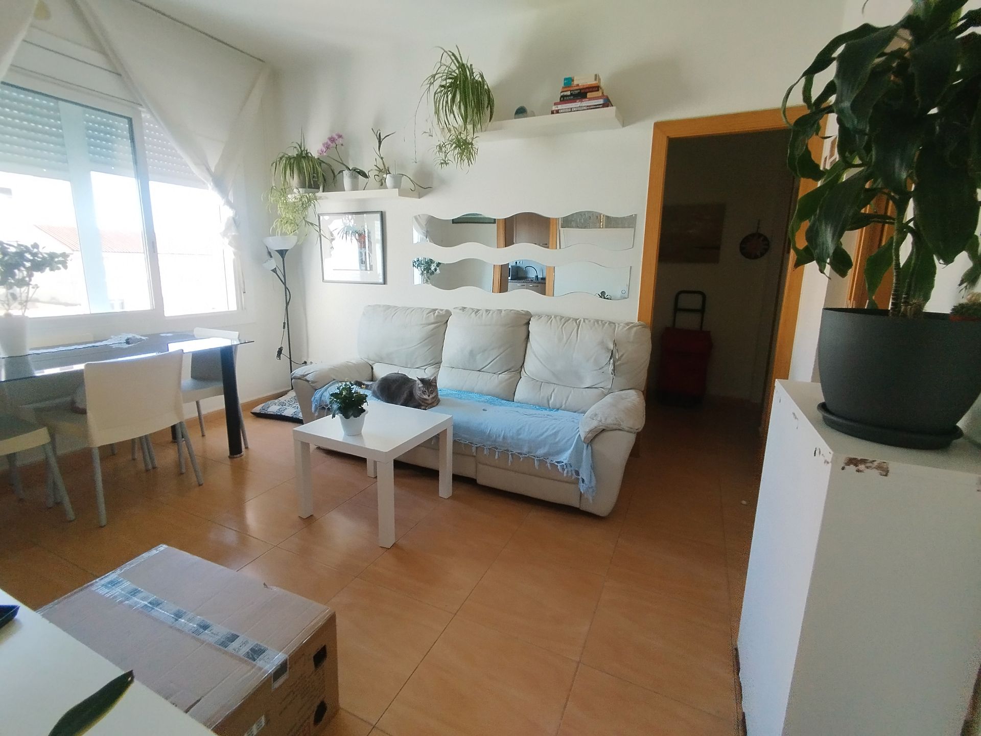 Sala d'estar de Pis en venda en Sabadell amb Forn