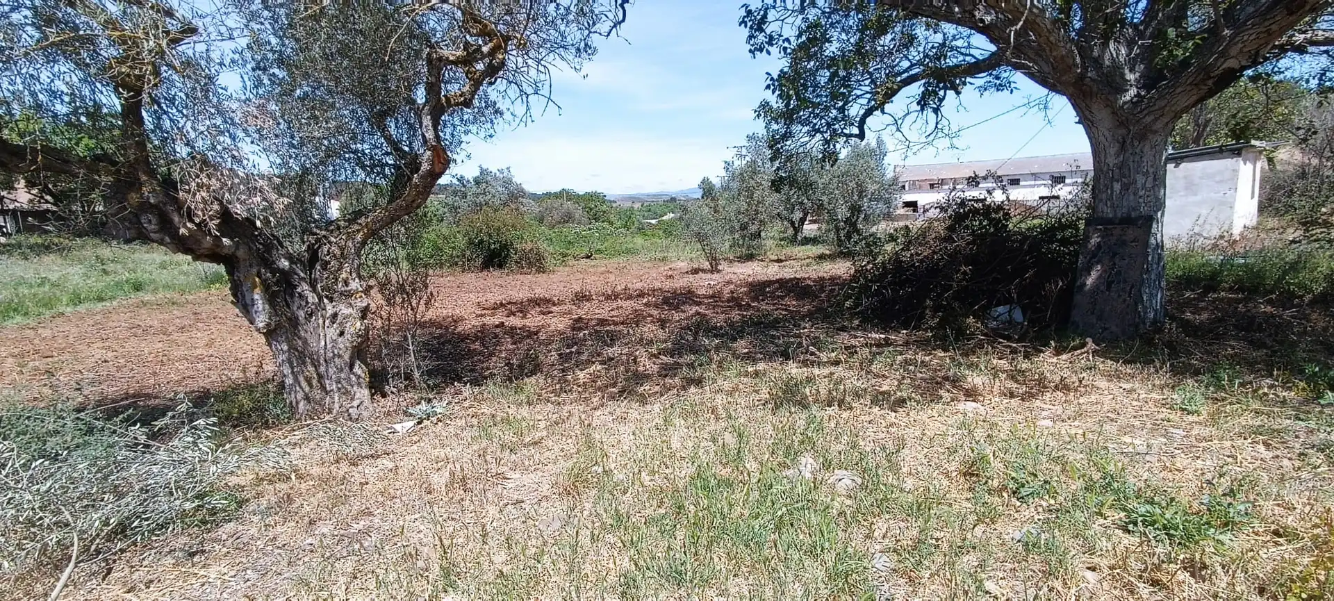 Rustikales Grundstück zum Verkauf in Murillo de Río Leza