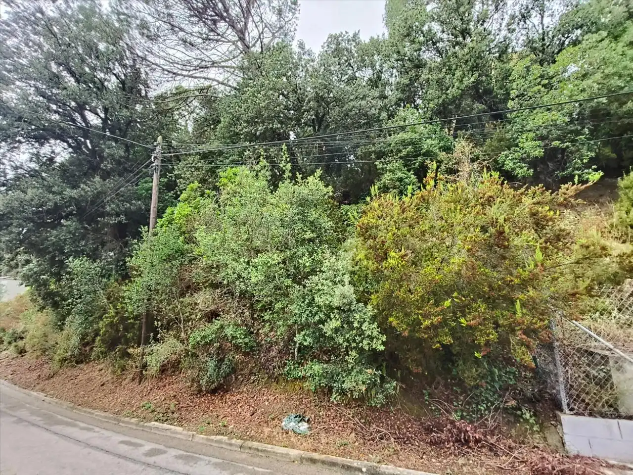 Wohnbaugrundstück zum Verkauf in Serra De Sant Feliu, imagen 10