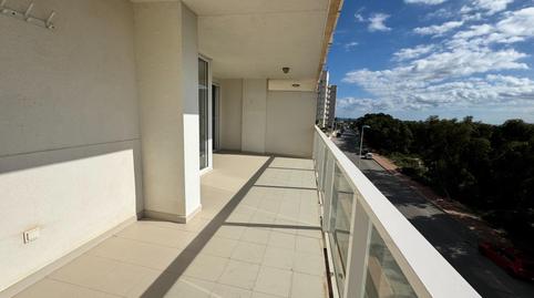 Foto 5 de Apartament de lloguer a Puerto Deportivo, Alicante