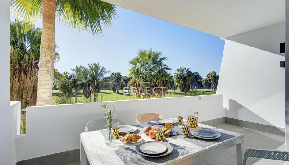 Foto 1 de Planta baja en venta en Calle Rector Federico Mayor Zaragoza, Playa de Granada, Granada