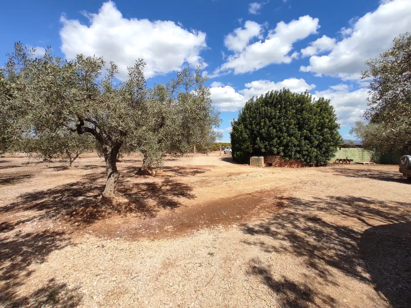 Terreno rustico in vendita a Traiguera, imagen 6