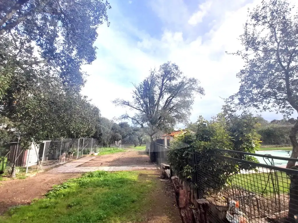 Casa o xalet en venda a Río Búrdalo, Avenida Elvas