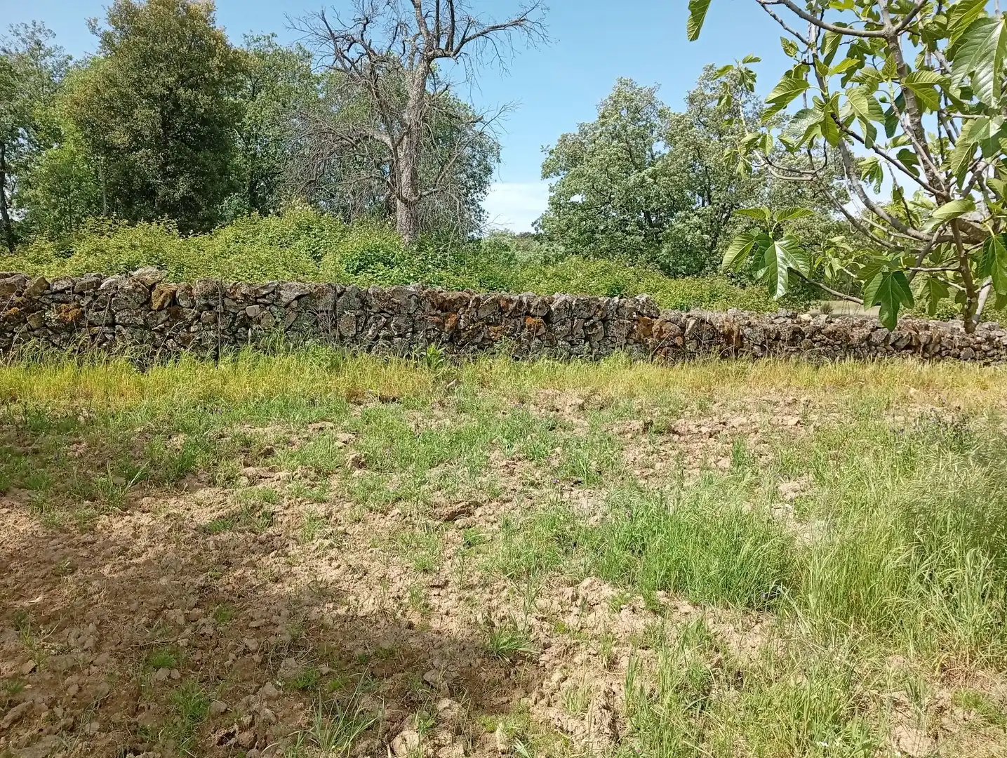 Terreni e lotti in vendita a Villanueva de la Vera, imagen 38