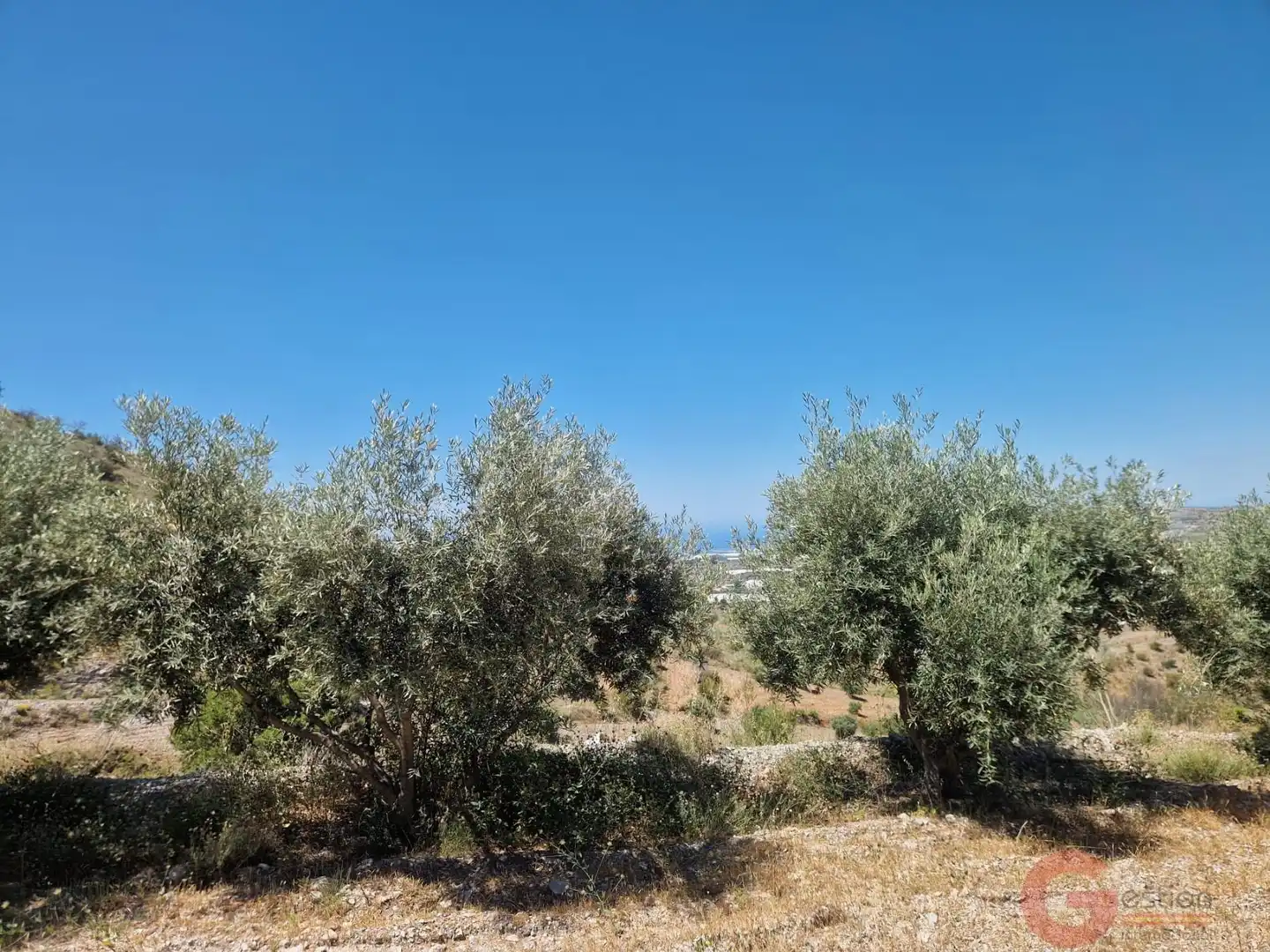 Casa rustica in vendita a Los Tablones - La Garnatilla, imagen 21
