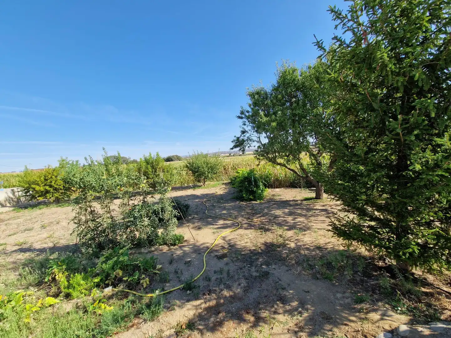Villa mit Pool zum Verkauf in San Esteban de Litera, imagen 25