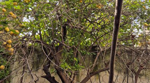 Foto 5 de Casa o xalet en venda a Calle Álvarez Hazañas, Centro, Sevilla