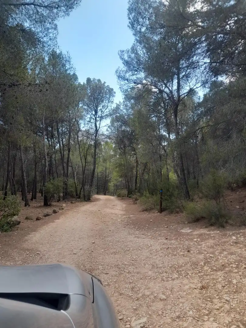 Terreny rústic en venda a Xirles, imagen 10