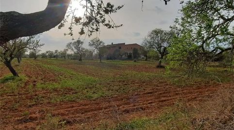 Foto 4 de Finca rústica en venta en Camí de Sant Blai, Zona Rústica - Interior, Campos
