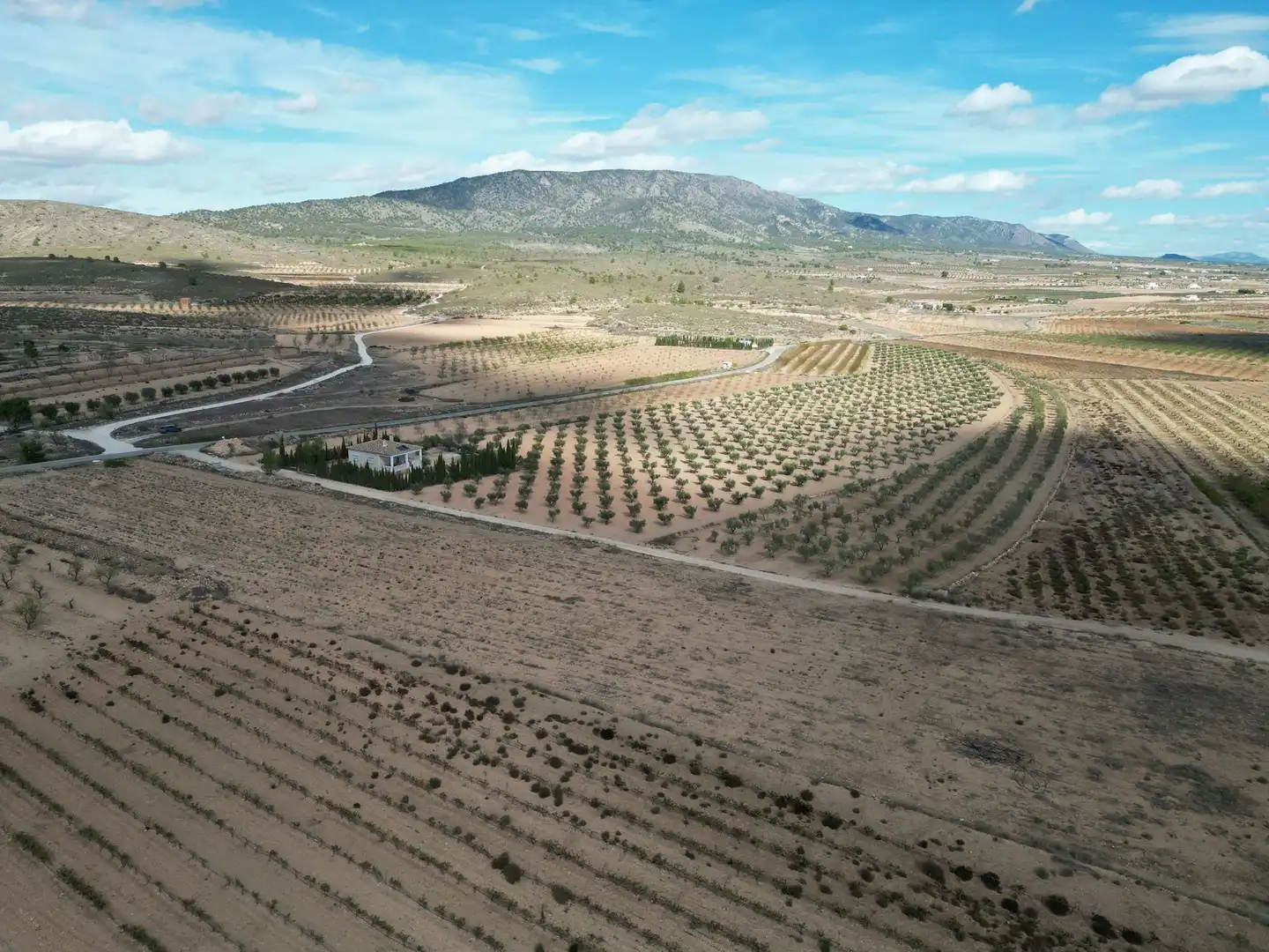 Terreno residencial en venta en El Pinós / Pinoso, imagen 14
