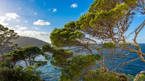 Foto 2 de Apartament en venda a Sóller, Illes Balears