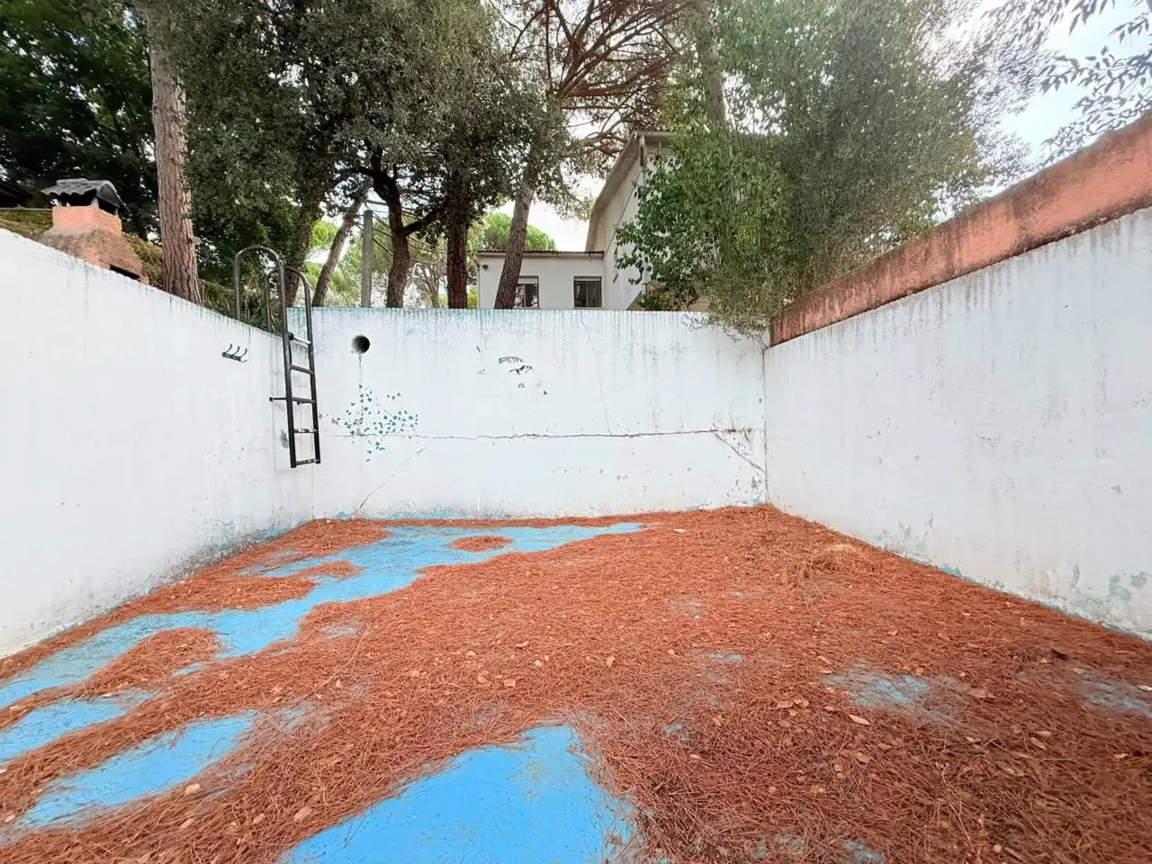 Jardí de Casa o xalet en venda en Riells i Viabrea amb Jardí privat i Terrassa