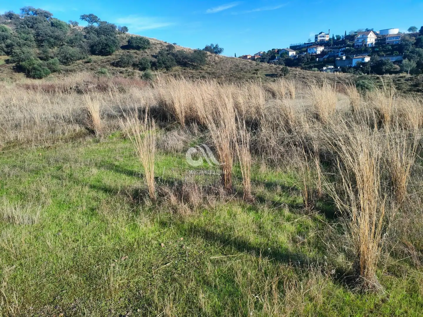 Residencial de alquiler en Alcolea