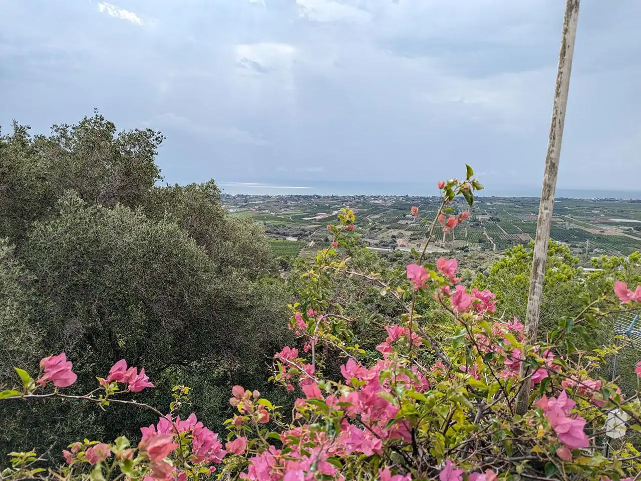 Casa o xalet en venda en Alcanar amb Jardí privat, Terrassa i Piscina