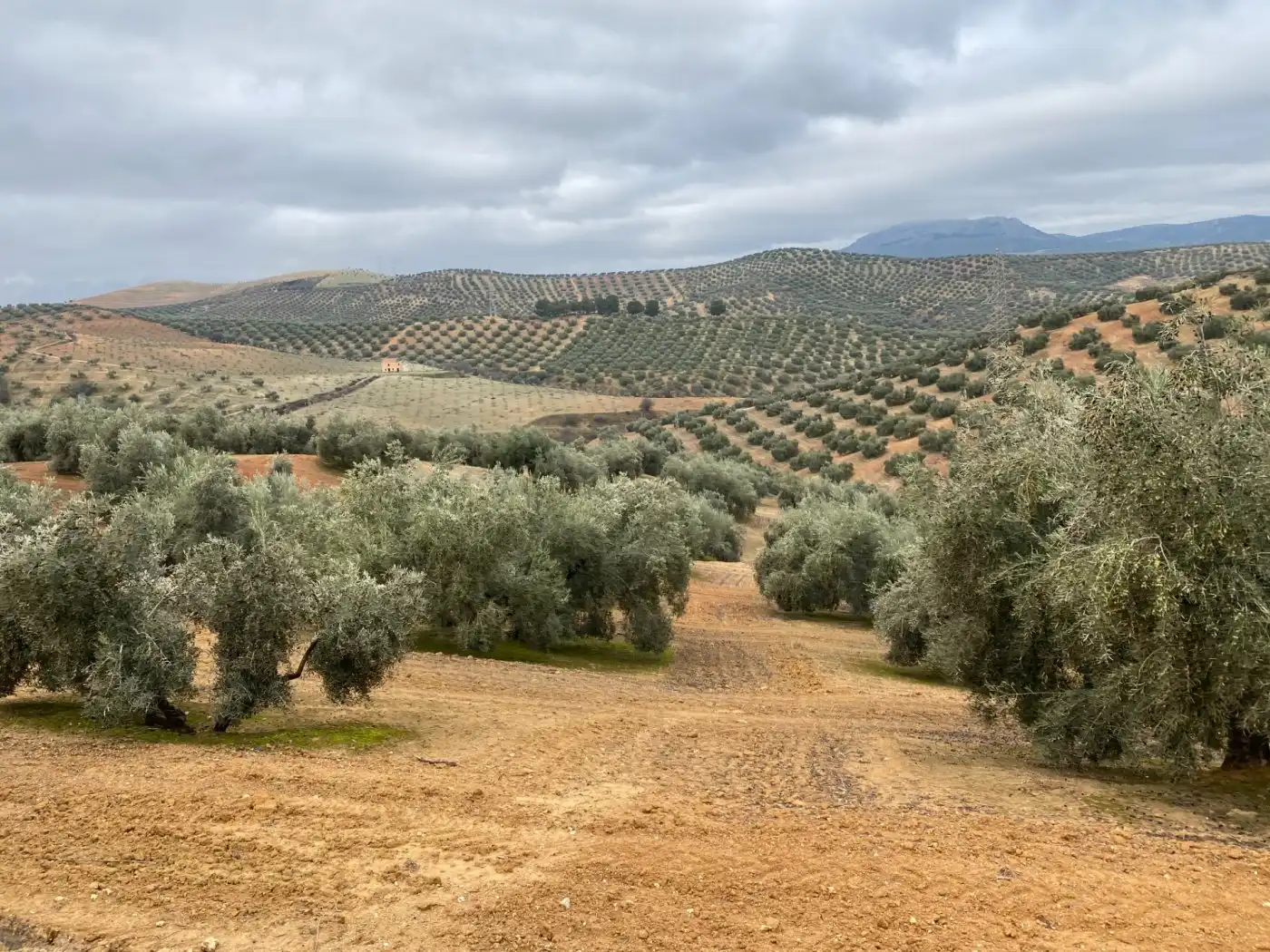 Casa rustica in vendita a Huétor Tájar, imagen 24