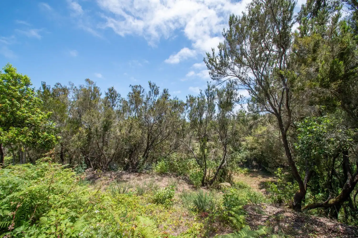 Land for sale in El Tanque