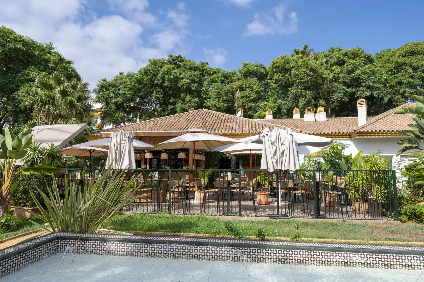 Apartments for rent in Marbella  with Terrace, Swimming Pool and Community pool