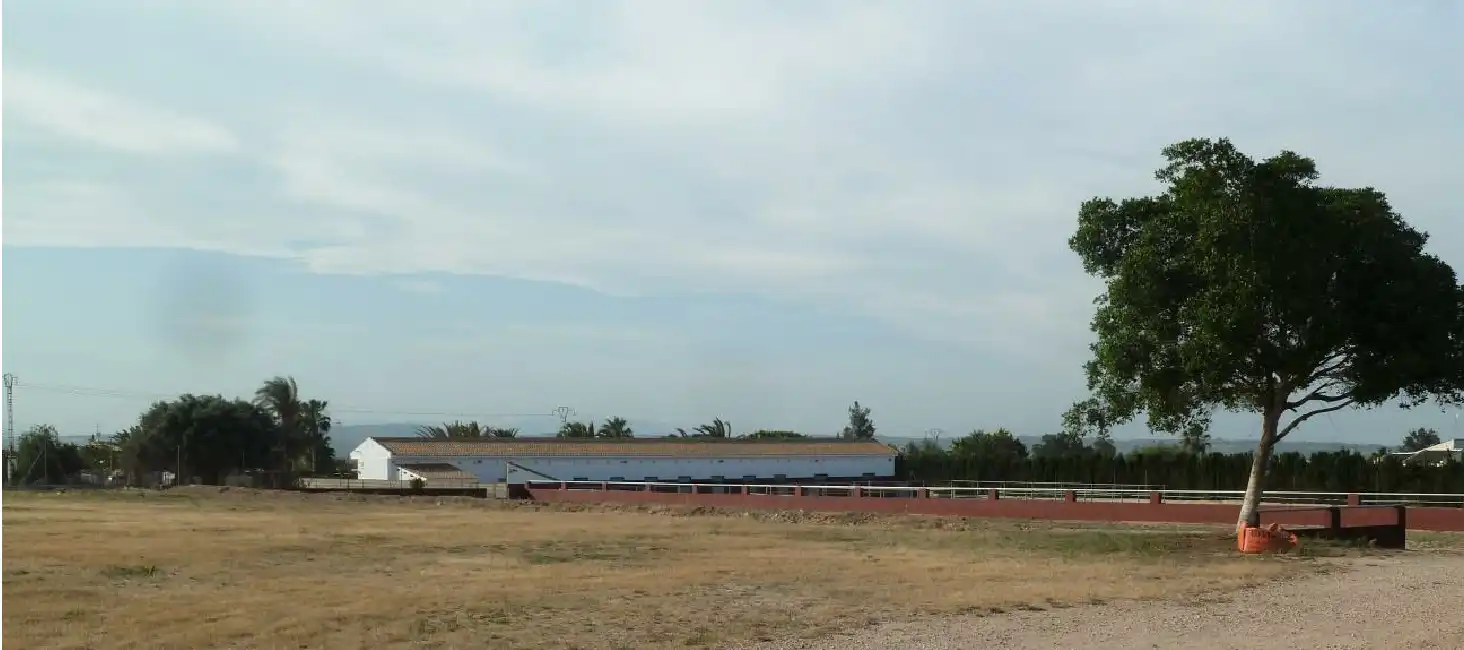 Maison rustique à vendre à San Miguel de Salinas, imagen 5