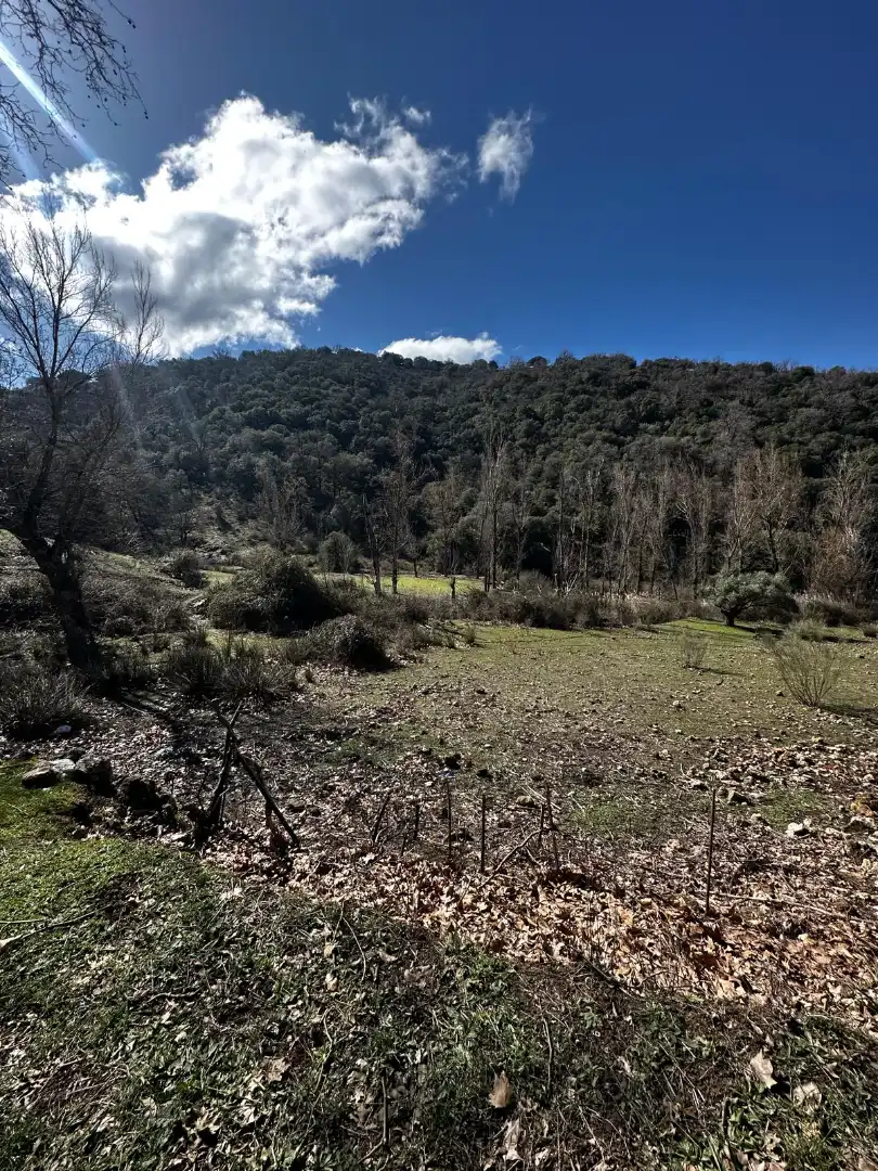 Finca rústica en venda en Valdepeñas de Jaén