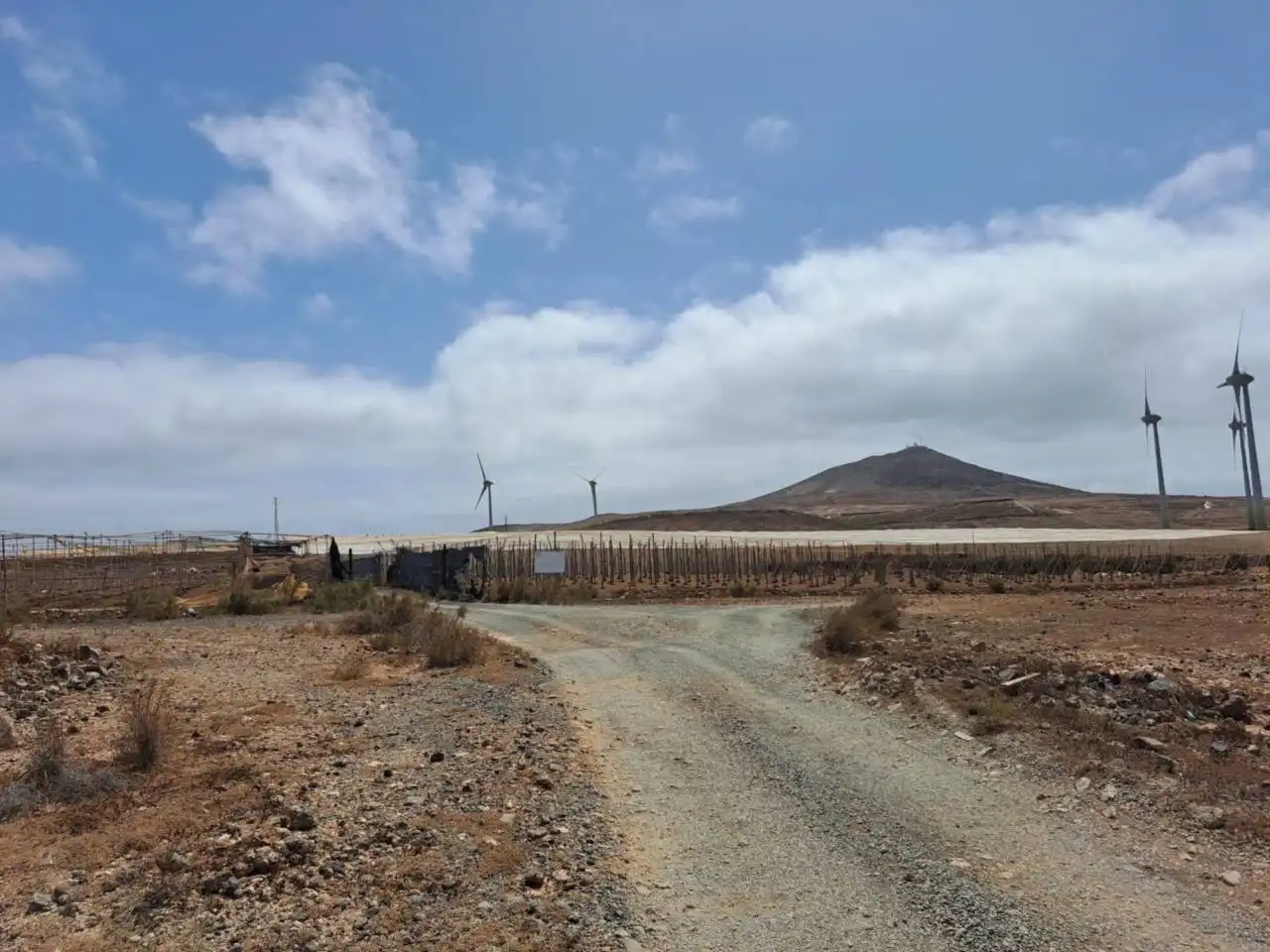 Rural land for sale in Cruce de Arinaga, imagen 4