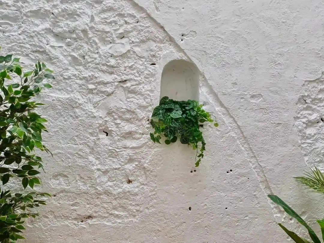 Terrassa de Planta baixa en venda en Almussafes amb Terrassa i Moblat