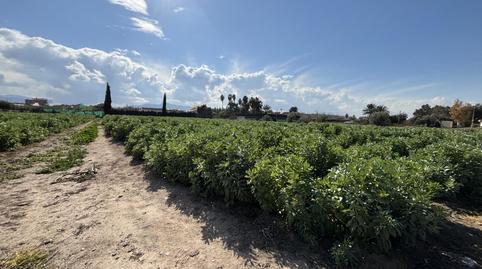 Foto 5 de Finca rústica en venda a Casillas, Murcia