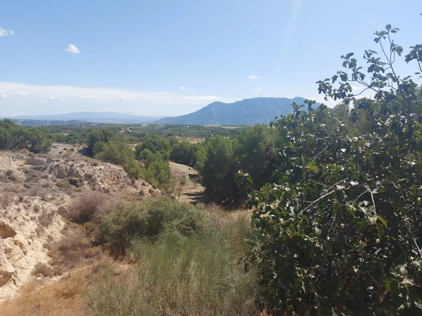 Casa rústica en venda a Cuevas del Campo, imagen 3