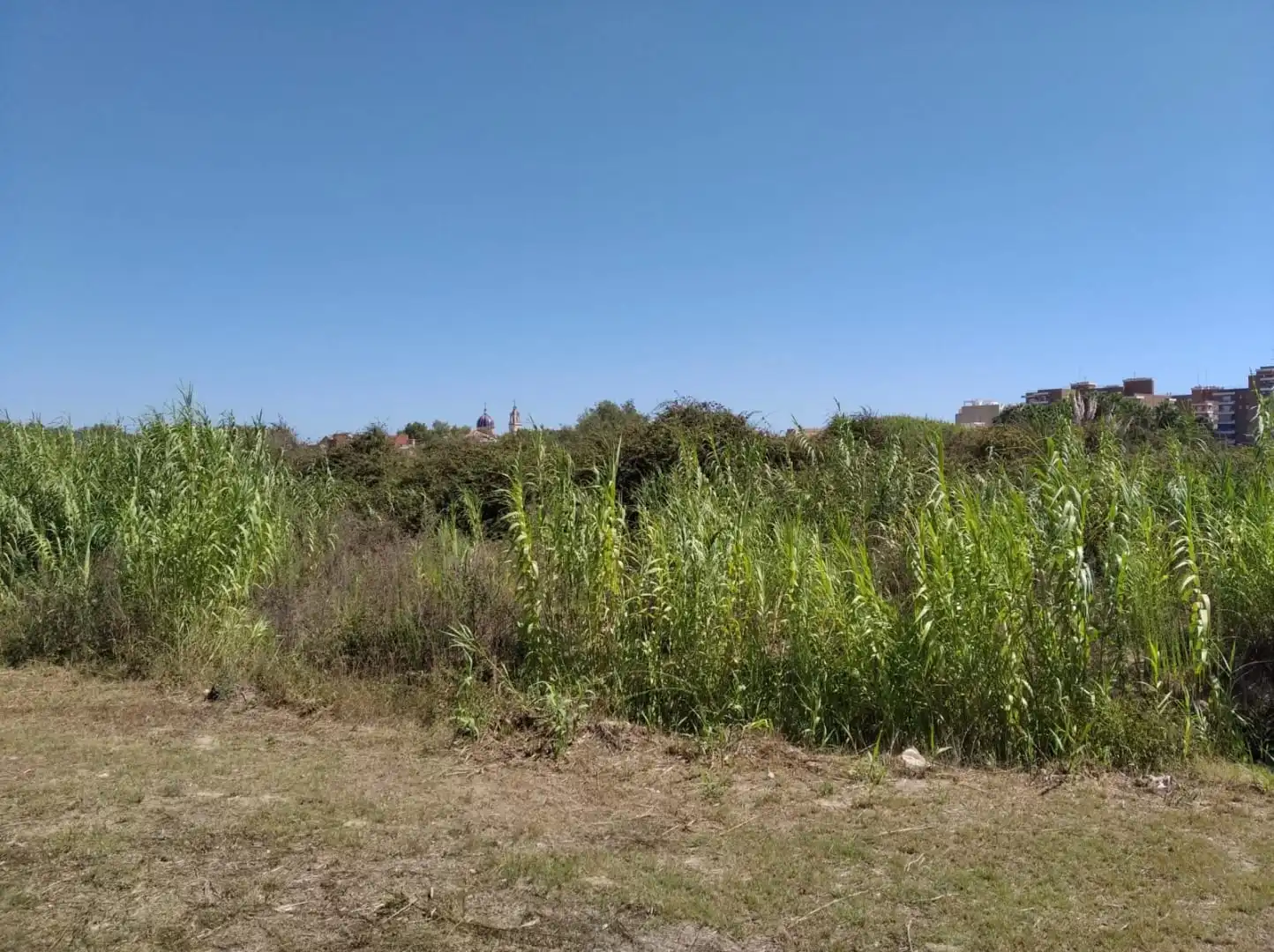 Residential land for sale in Plaça Numero 17 Racona 276, imagen 6