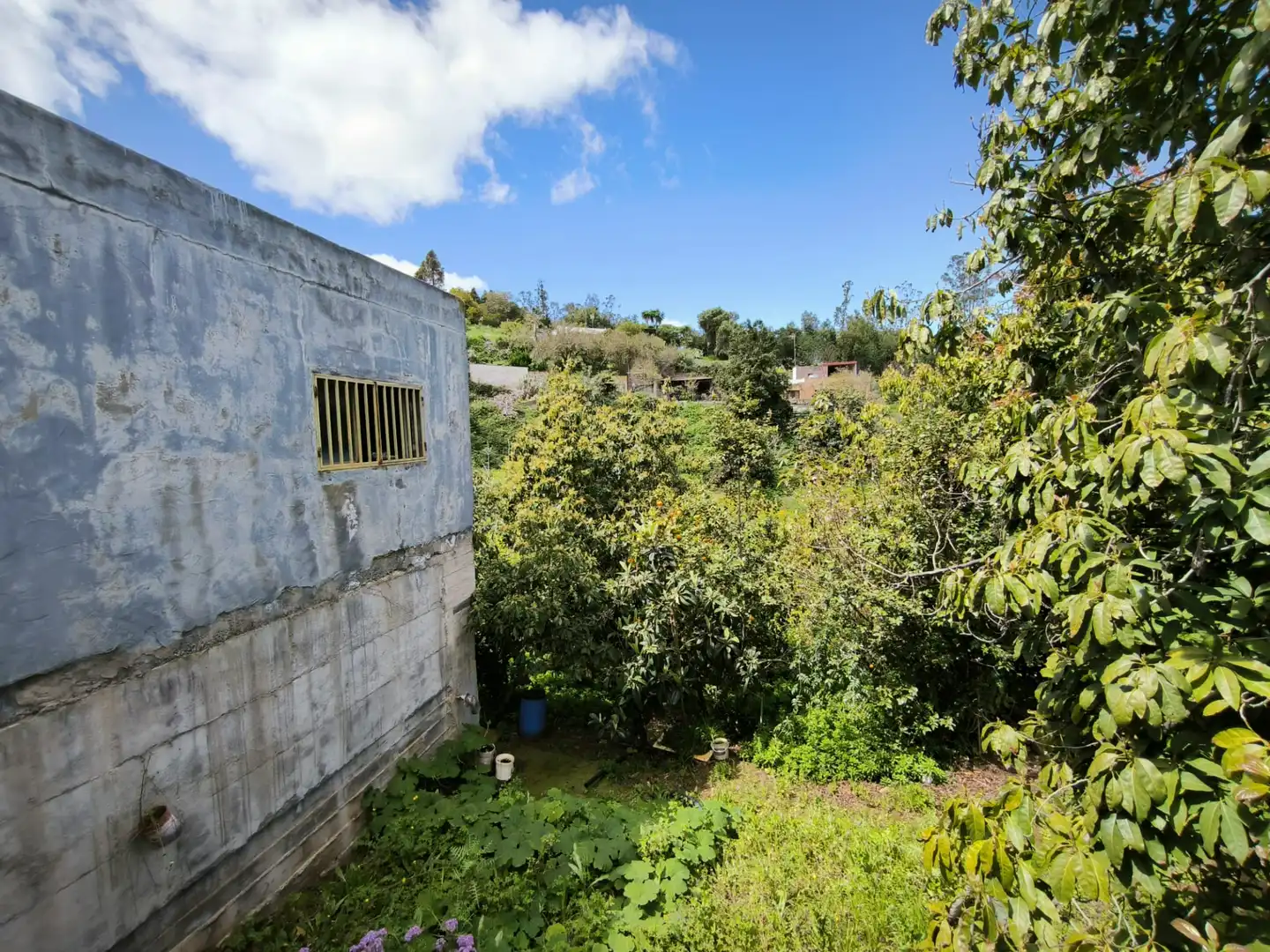 Finca rústica en venta en Moya (Las Palmas)
