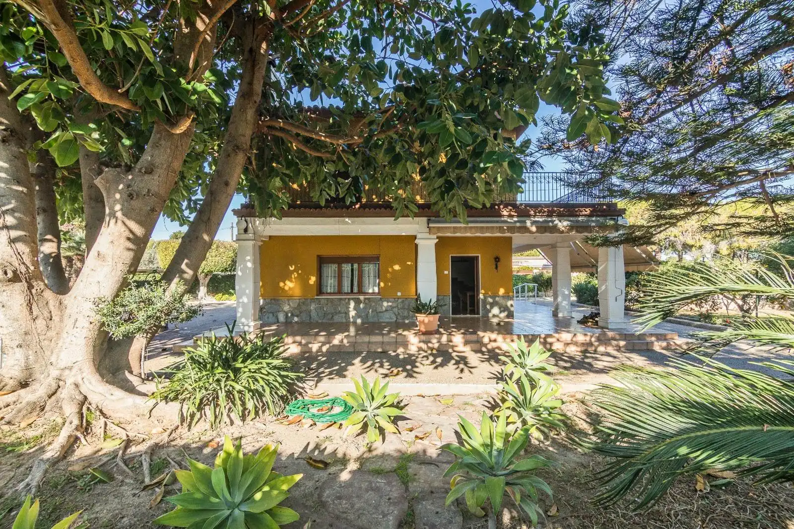 Jardí de Casa o xalet en venda en Elche / Elx amb Terrassa, Traster i Piscina