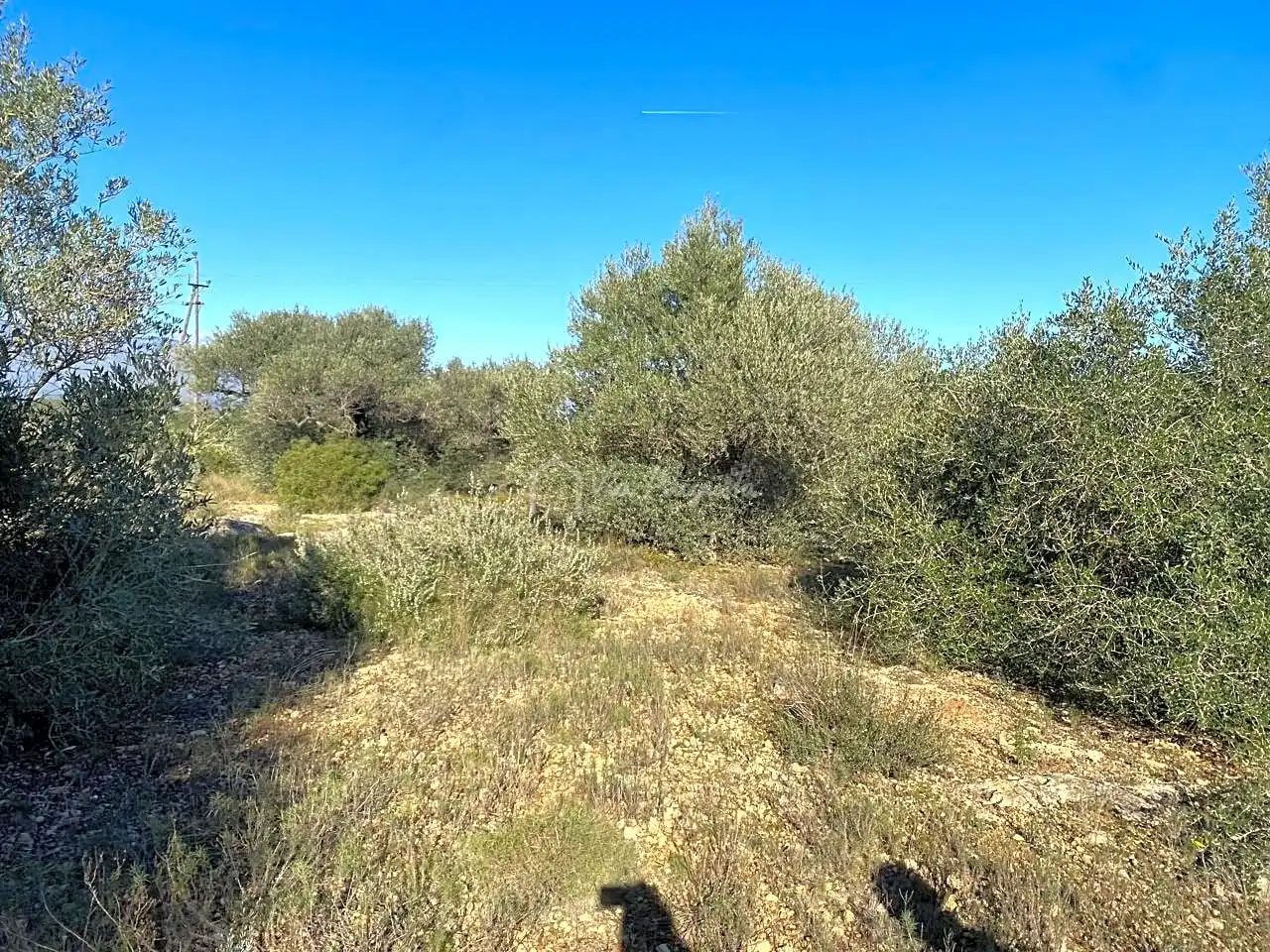 Terreno rustico in vendita a Pas de Berenguer, imagen 24