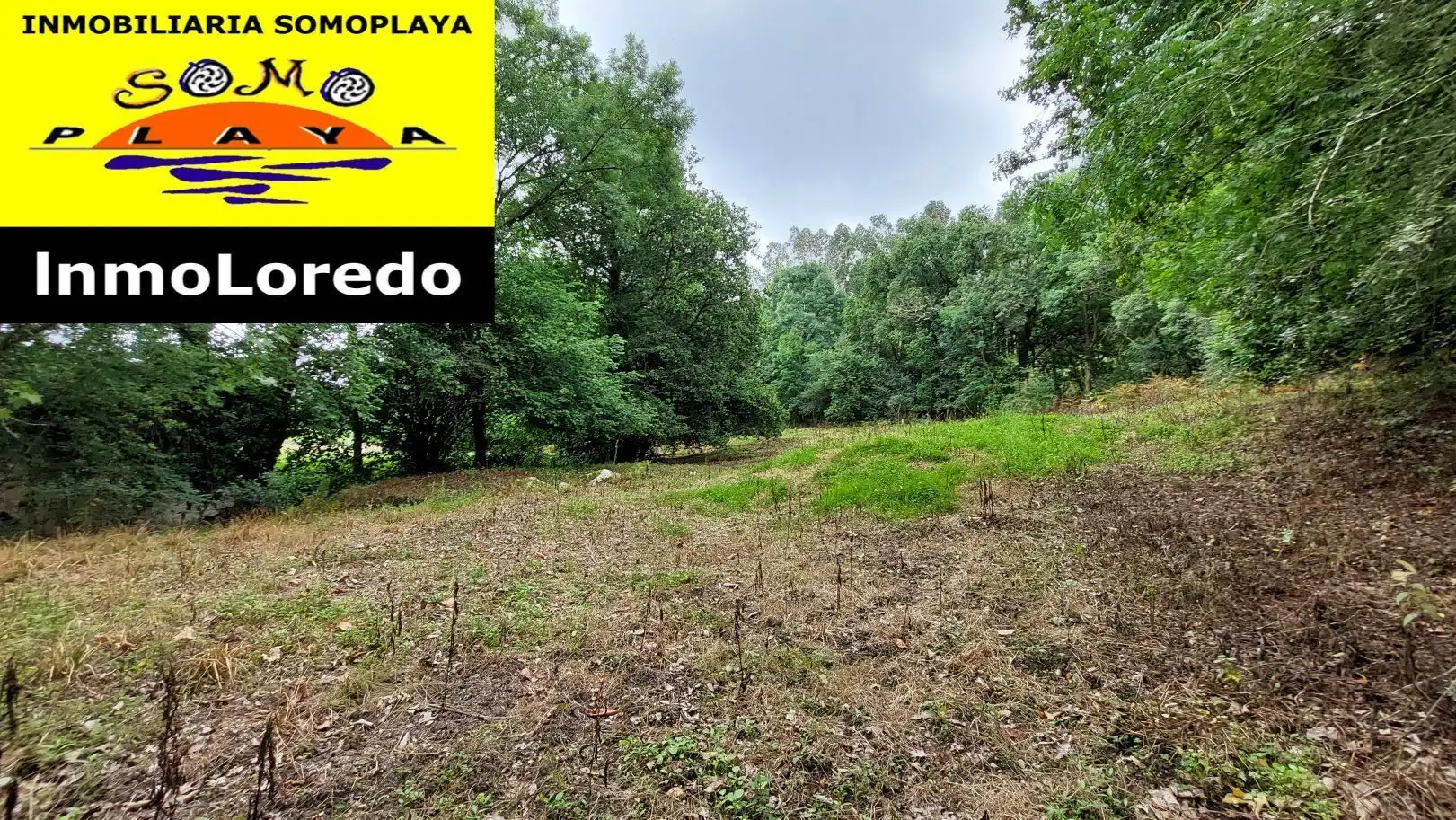 Terreni e lotti in vendita a Ribamontán al Monte, imagen 4