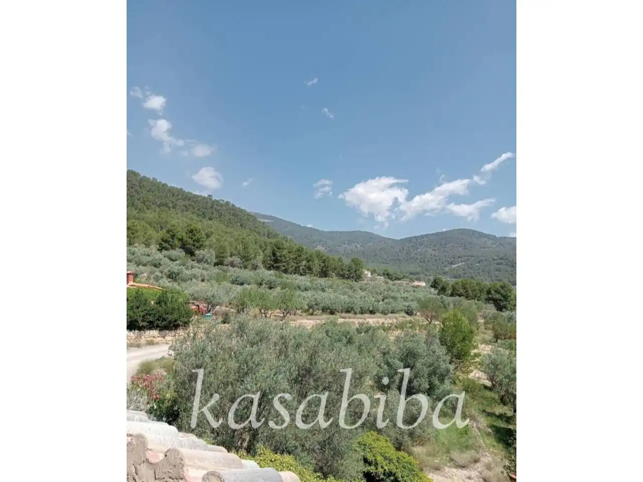 Finca rústica en venda en Andilla amb Terrassa