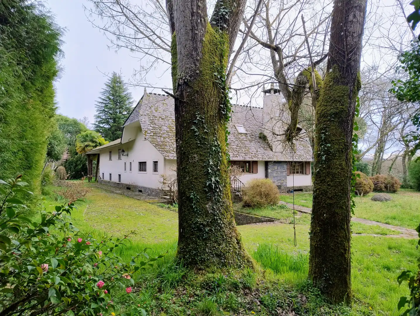 Vista exterior de Casa o chalet en venta en Lugo con Amueblado