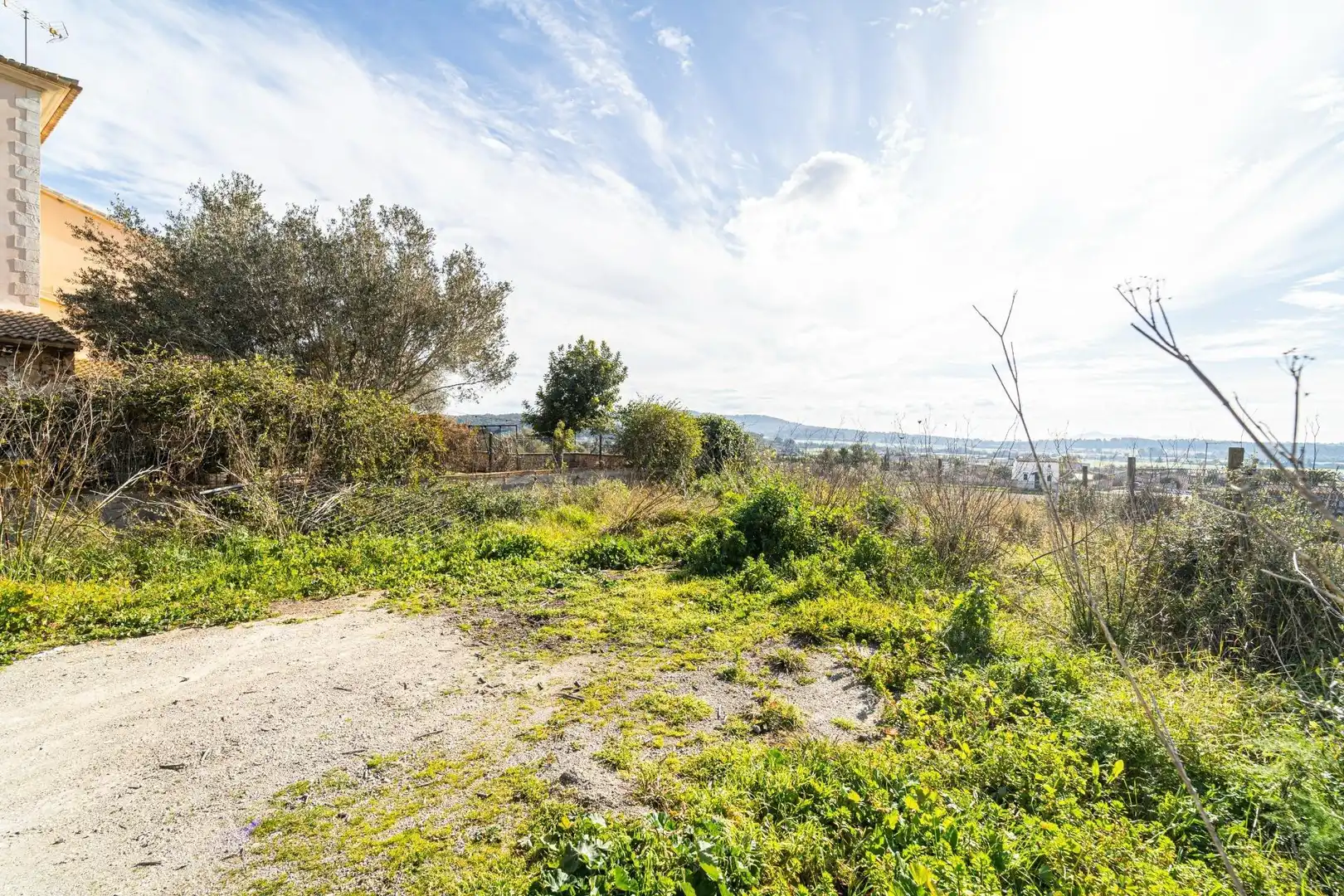 Terreny rústic en venda a Sant Joan, imagen 18