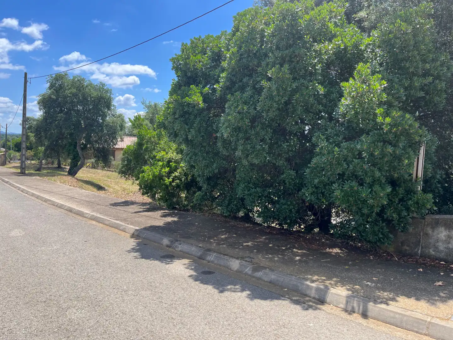Terrain résidentiel à vendre à Carrer del Solsonès 29, imagen 2