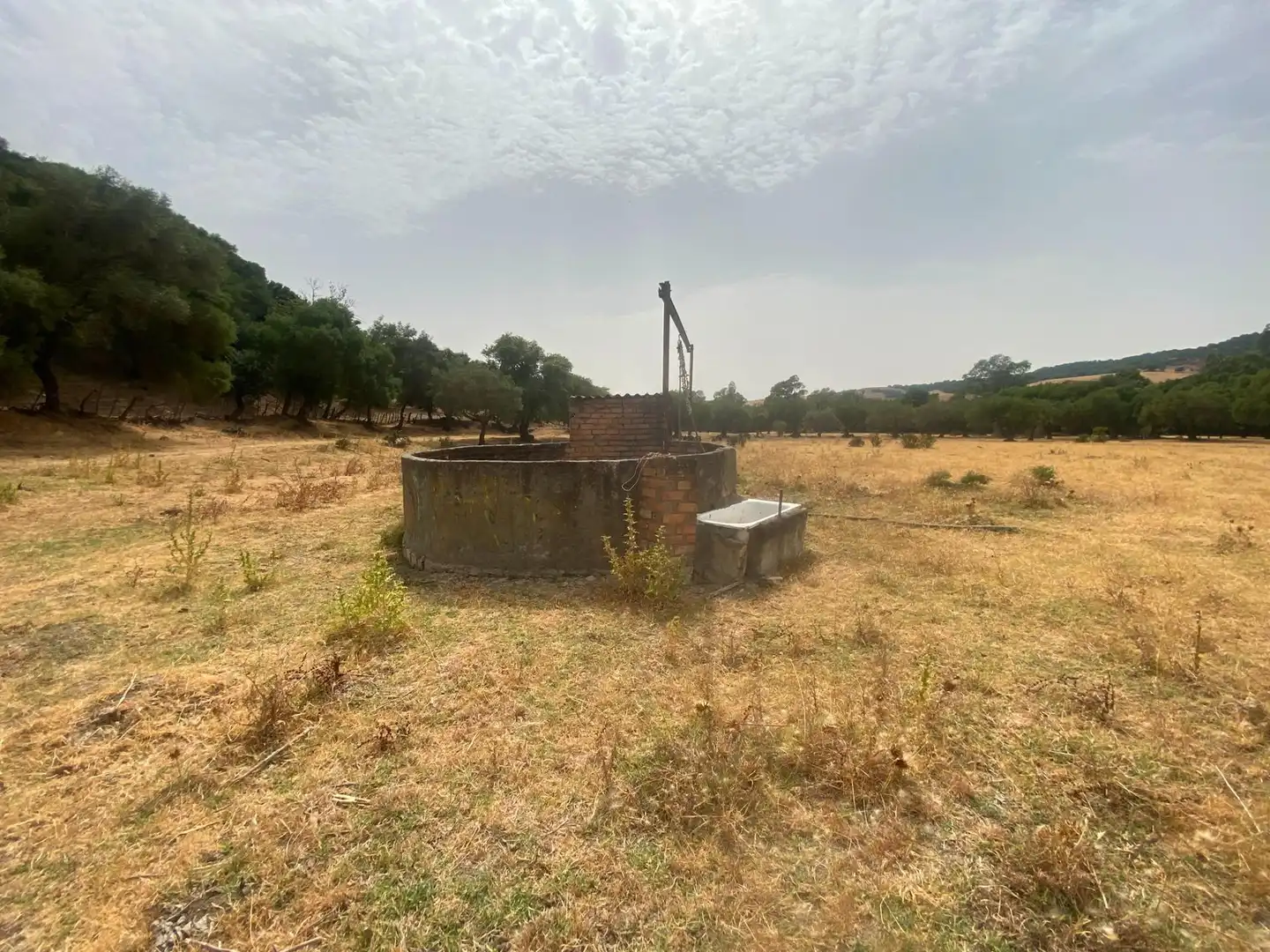 Terreni e lotti in vendita a Alcalá de los Gazules, imagen 96