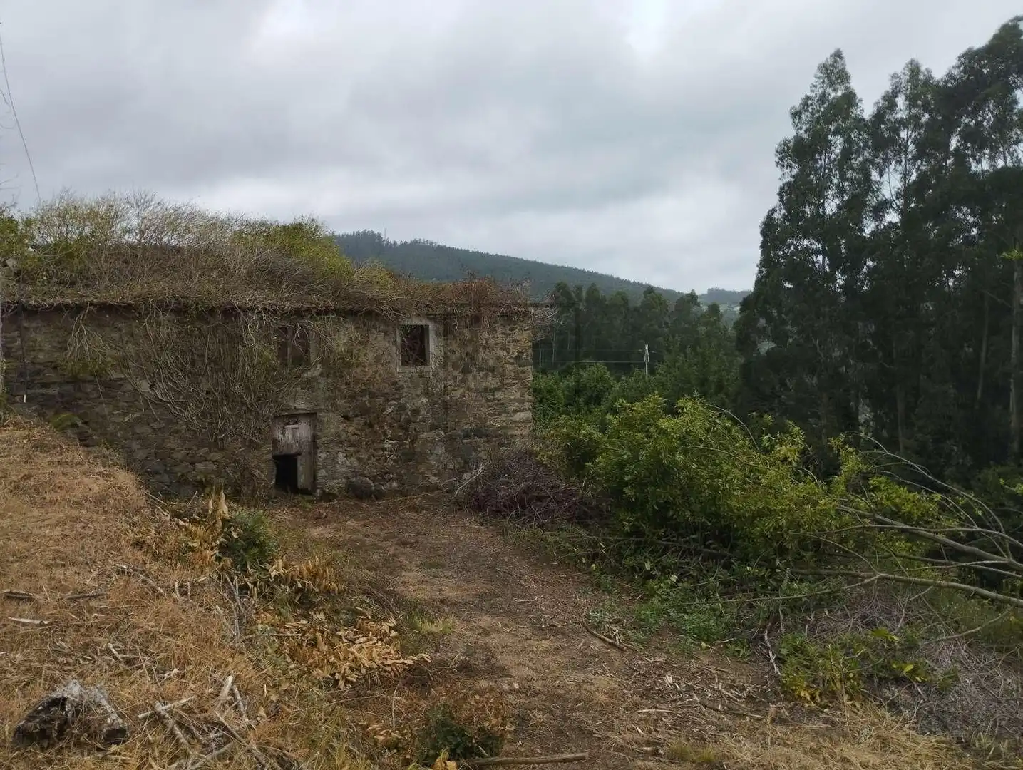 Vista exterior de Casa o xalet en venda en Cerdido amb Jardí privat