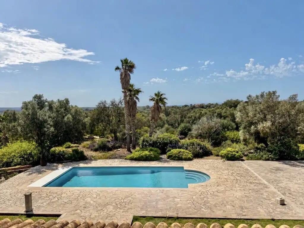 Casa rústica con piscina en venta en Ses Salines Poble, imagen 3